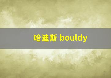 哈迪斯 bouldy